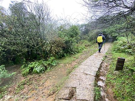 Photo 2020-12-20, 08 21 29_batch.jpg Photo 2020-12-20, 08 21 29_batch.jpg