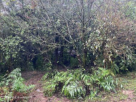 Photo 2020-12-20, 08 21 23_batch.jpg Photo 2020-12-20, 08 21 23_batch.jpg