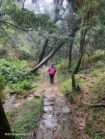 Photo 2020-12-20, 08 27 41 (1)_batch.jpg Photo 2020-12-20, 08 27 41 (1)_batch.jpg