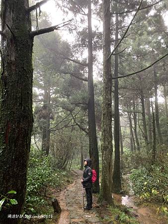 Photo 2020-12-20, 08 29 04_batch.jpg Photo 2020-12-20, 08 29 04_batch.jpg