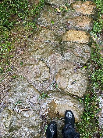 Photo 2020-12-20, 08 27 57_batch.jpg Photo 2020-12-20, 08 27 57_batch.jpg