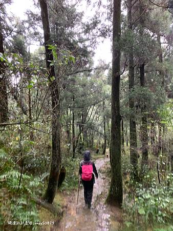 Photo 2020-12-20, 08 30 27_batch.jpg Photo 2020-12-20, 08 30 27_batch.jpg