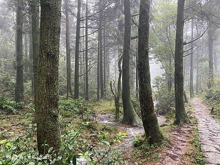 Photo 2020-12-20, 08 36 21_batch.jpg Photo 2020-12-20, 08 36 21_batch.jpg