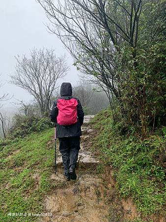 Photo 2020-12-20, 08 44 18_batch.jpg Photo 2020-12-20, 08 44 18_batch.jpg