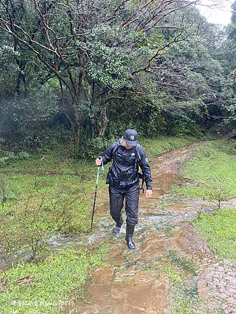 Photo 2020-12-20, 09 02 13_batch.jpg Photo 2020-12-20, 09 02 13_batch.jpg