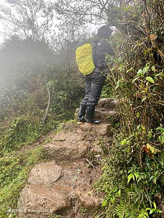 Photo 2020-12-20, 09 12 02_batch.jpg Photo 2020-12-20, 09 12 02_batch.jpg