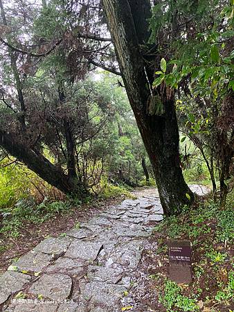 Photo 2020-12-20, 10 22 54_batch.jpg Photo 2020-12-20, 10 22 54_batch.jpg