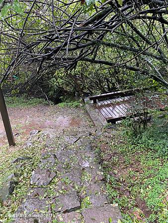 Photo 2020-12-20, 10 25 19_batch.jpg Photo 2020-12-20, 10 25 19_batch.jpg