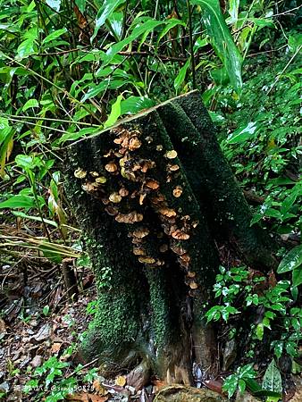 Photo 2020-12-20, 10 38 31_batch.jpg Photo 2020-12-20, 10 38 31_batch.jpg