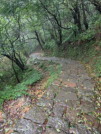 Photo 2020-12-20, 10 37 44_batch.jpg Photo 2020-12-20, 10 37 44_batch.jpg