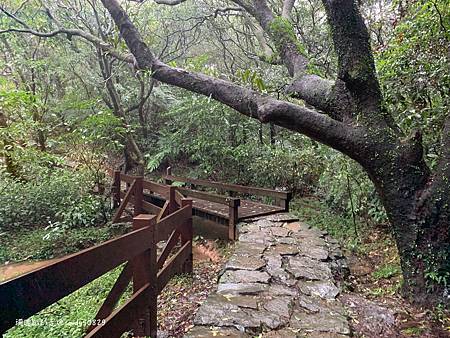 Photo 2020-12-20, 10 40 50_batch.jpg Photo 2020-12-20, 10 40 50_batch.jpg