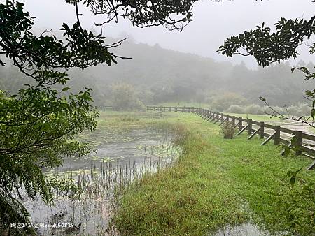 Photo 2020-12-20, 10 42 35_batch.jpg Photo 2020-12-20, 10 42 35_batch.jpg