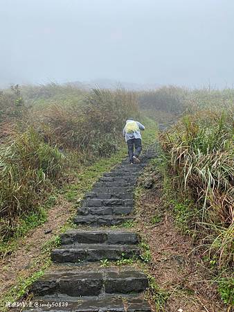 Photo 2020-12-20, 12 33 58_batch.jpg Photo 2020-12-20, 12 33 58_batch.jpg