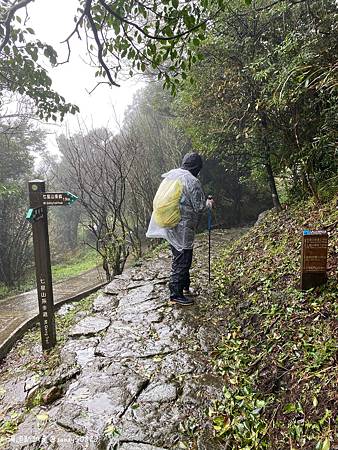 Photo 2020-12-20, 12 54 11_batch.jpg Photo 2020-12-20, 12 54 11_batch.jpg