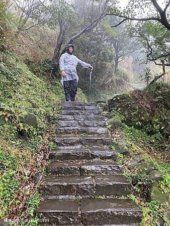 Photo 2020-12-20, 13 13 56_batch.jpg Photo 2020-12-20, 13 13 56_batch.jpg