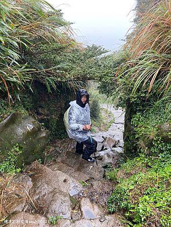 Photo 2020-12-20, 13 32 05_batch.jpg Photo 2020-12-20, 13 32 05_batch.jpg