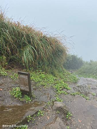 Photo 2020-12-20, 13 51 00_batch.jpg Photo 2020-12-20, 13 51 00_batch.jpg