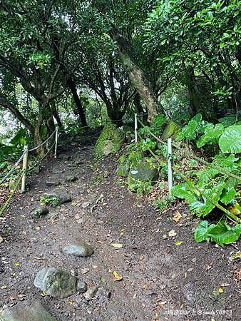 Photo 2020-12-23, 10 08 51_batch.jpg Photo 2020-12-23, 10 08 51_batch.jpg