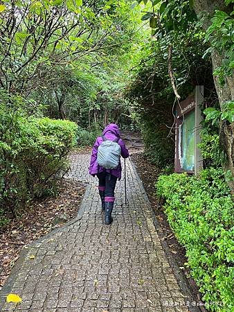 Photo 2020-12-23, 10 03 53_batch.jpg Photo 2020-12-23, 10 03 53_batch.jpg