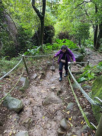 Photo 2020-12-23, 10 11 54_batch.jpg Photo 2020-12-23, 10 11 54_batch.jpg