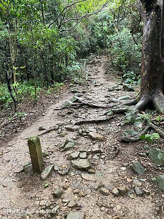 Photo 2020-12-23, 10 17 38_batch.jpg Photo 2020-12-23, 10 17 38_batch.jpg