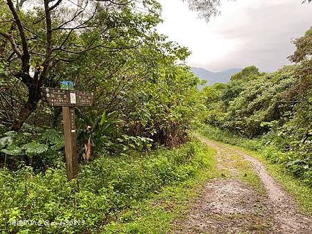 Photo 2020-12-23, 10 32 17_batch.jpg Photo 2020-12-23, 10 32 17_batch.jpg