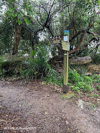 Photo 2020-12-23, 11 00 32_batch.jpg Photo 2020-12-23, 11 00 32_batch.jpg