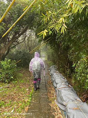 Photo 2020-12-23, 11 29 37_batch.jpg Photo 2020-12-23, 11 29 37_batch.jpg