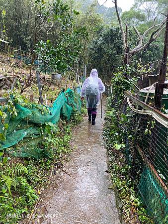 Photo 2020-12-23, 11 49 18_batch.jpg Photo 2020-12-23, 11 49 18_batch.jpg