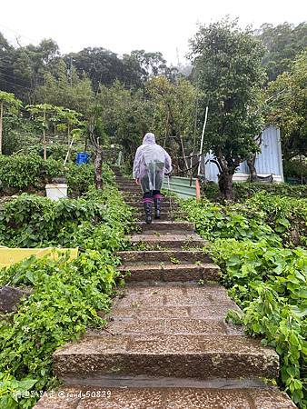 Photo 2020-12-23, 11 55 55_batch.jpg Photo 2020-12-23, 11 55 55_batch.jpg