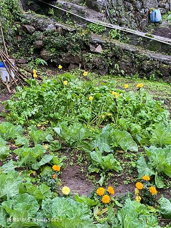 Photo 2020-12-23, 11 58 55_batch.jpg Photo 2020-12-23, 11 58 55_batch.jpg