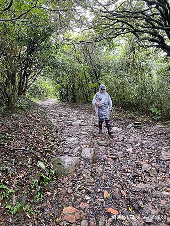 Photo 2020-12-23, 14 02 21_batch.jpg Photo 2020-12-23, 14 02 21_batch.jpg