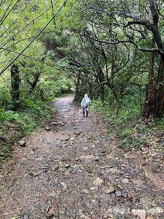 Photo 2020-12-23, 13 58 39_batch.jpg Photo 2020-12-23, 13 58 39_batch.jpg