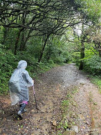 Photo 2020-12-23, 13 52 27_batch.jpg Photo 2020-12-23, 13 52 27_batch.jpg