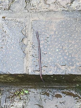 Photo 2020-12-23, 12 26 12_batch.jpg Photo 2020-12-23, 12 26 12_batch.jpg