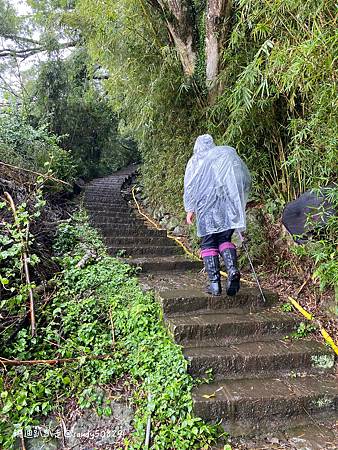 Photo 2020-12-23, 12 29 10_batch.jpg Photo 2020-12-23, 12 29 10_batch.jpg