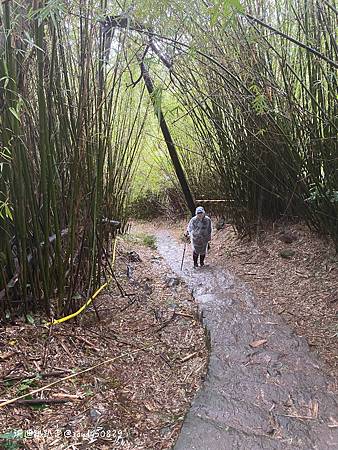 Photo 2020-12-23, 12 38 48_batch.jpg Photo 2020-12-23, 12 38 48_batch.jpg