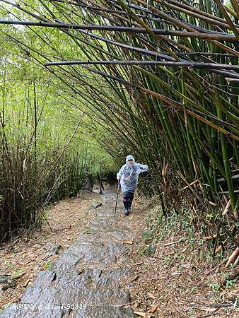Photo 2020-12-23, 12 40 40_batch.jpg Photo 2020-12-23, 12 40 40_batch.jpg