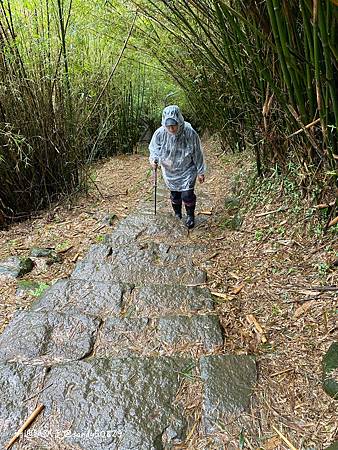 Photo 2020-12-23, 12 41 10_batch.jpg Photo 2020-12-23, 12 41 10_batch.jpg