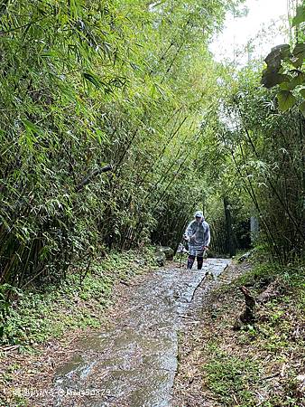 Photo 2020-12-23, 12 48 56_batch.jpg Photo 2020-12-23, 12 48 56_batch.jpg