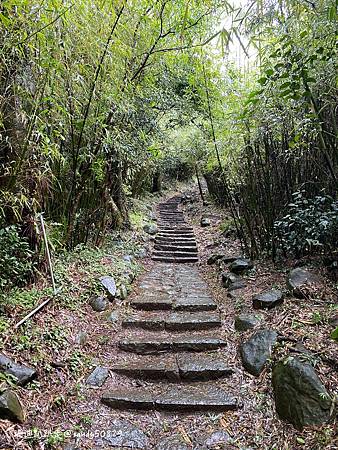 Photo 2020-12-23, 12 56 00_batch.jpg Photo 2020-12-23, 12 56 00_batch.jpg