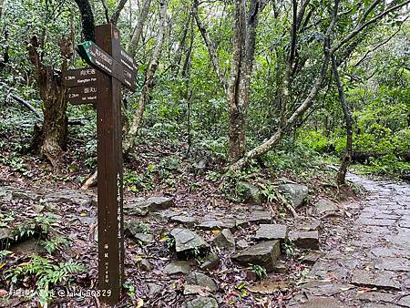 Photo 2020-12-23, 13 16 30_batch.jpg Photo 2020-12-23, 13 16 30_batch.jpg