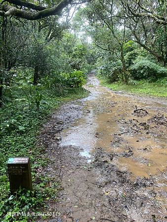 Photo 2020-12-23, 13 30 37_batch.jpg Photo 2020-12-23, 13 30 37_batch.jpg