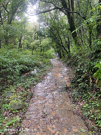 Photo 2020-12-23, 13 27 53_batch.jpg Photo 2020-12-23, 13 27 53_batch.jpg