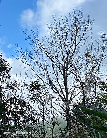 Photo 2020-12-26, 11 48 02_batch.jpg