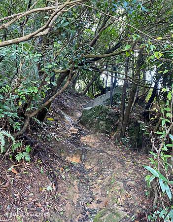 Photo 2020-12-26, 11 51 19_batch.jpg