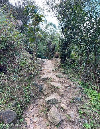 Photo 2020-12-26, 11 50 49_batch.jpg