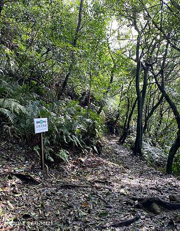 Photo 2020-12-26, 11 52 09_batch.jpg