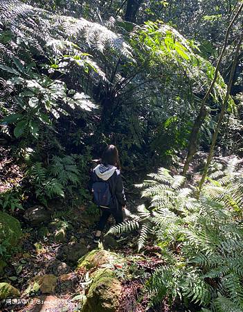 Photo 2020-12-26, 11 56 03_batch.jpg