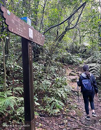 Photo 2020-12-26, 11 59 38_batch.jpg